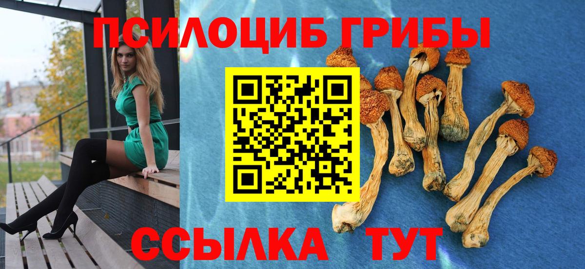 Галлюциногенные грибы Cubensis Биробиджан