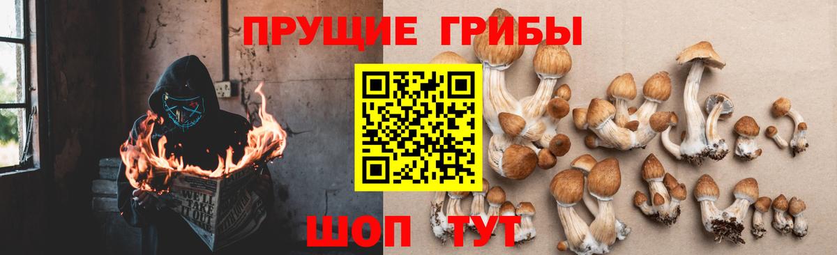 магазин    Галлюциногенные грибы Psilocybe  Вход с VPN  Биробиджан 